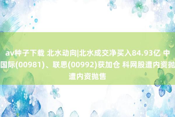 av种子下载 北水动向|北水成交净买入84.93亿 中芯国际(00981)、联思(00992)获加仓 科网股遭内资抛售