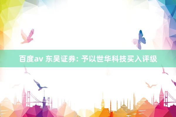 百度av 东吴证券: 予以世华科技买入评级