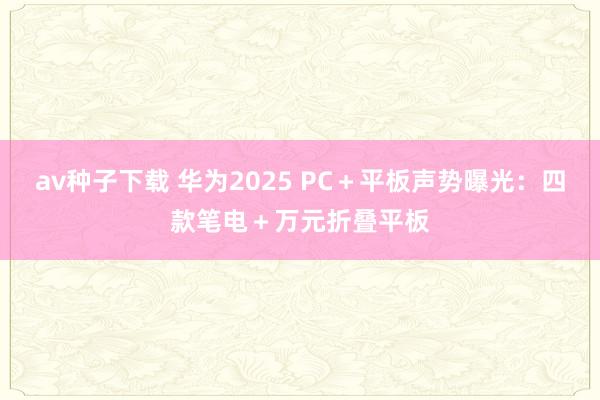 av种子下载 华为2025 PC＋平板声势曝光：四款笔电＋万元折叠平板