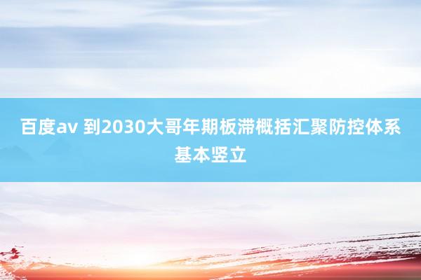 百度av 到2030大哥年期板滞概括汇聚防控体系基本竖立