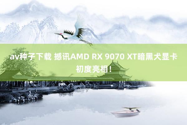 av种子下载 撼讯AMD RX 9070 XT暗黑犬显卡初度亮相！