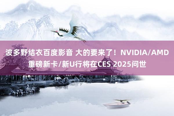 波多野结衣百度影音 大的要来了！NVIDIA/AMD重磅新卡/新U行将在CES 2025问世