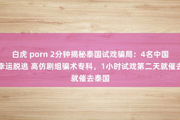 白虎 porn 2分钟揭秘泰国试戏骗局：4名中国演员幸运脱逃 高仿剧组骗术专科，1小时试戏第二天就催去泰国