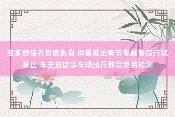 波多野结衣百度影音 仰望推出春节专属售后行状举止 车主进店享车辆出行前后免费检测