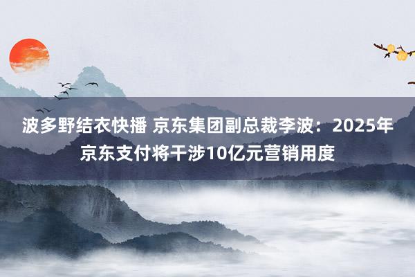 波多野结衣快播 京东集团副总裁李波：2025年京东支付将干涉10亿元营销用度