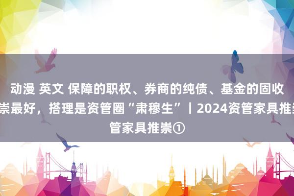 动漫 英文 保障的职权、券商的纯债、基金的固收+推崇最好，搭理是资管圈“肃穆生”丨2024资管家具推崇①