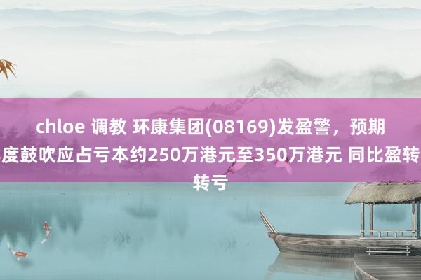 chloe 调教 环康集团(08169)发盈警，预期年度鼓吹应占亏本约250万港元至350万港元 同比盈转亏